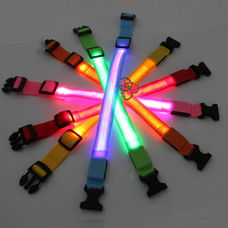 Glowing USB Pet Collar
