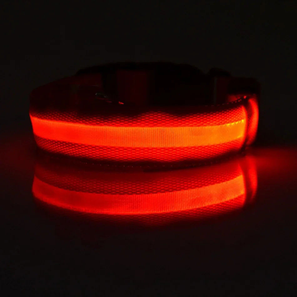GlowSafe LED Dog Collar