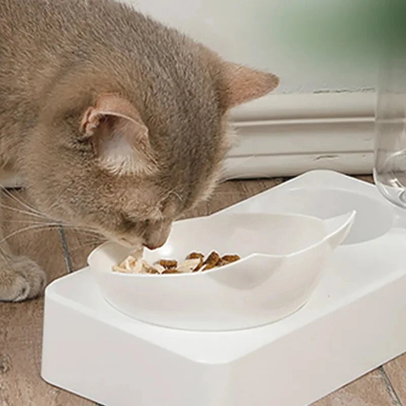 ErgoLift Dual Pet Feeder