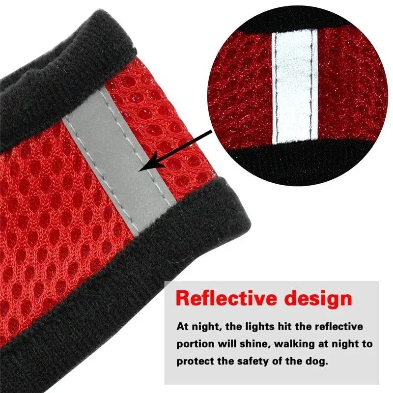Stylish Mesh Pet Harness