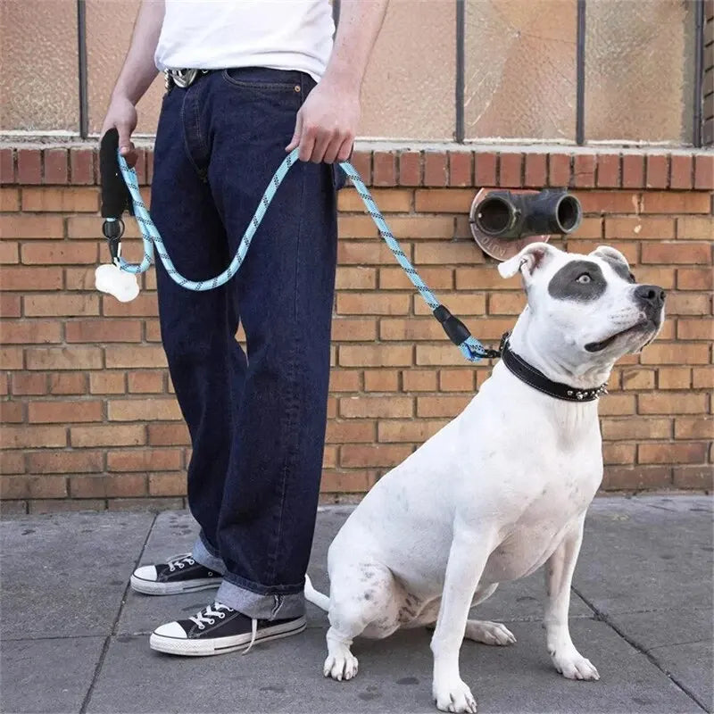 Heavy Duty Reflective Leash