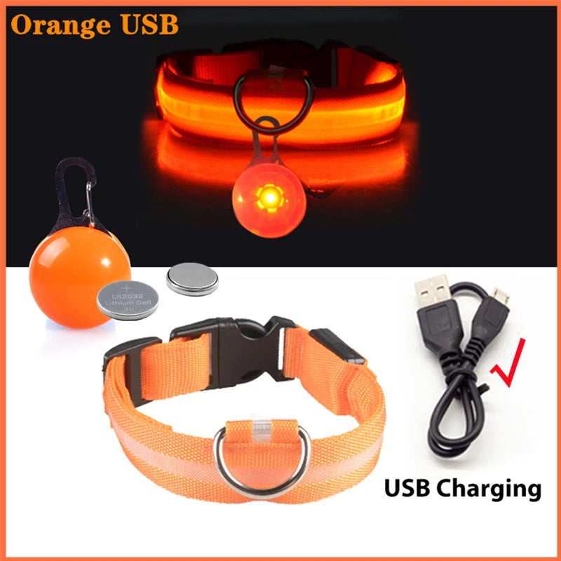Glowing USB Pet Collar