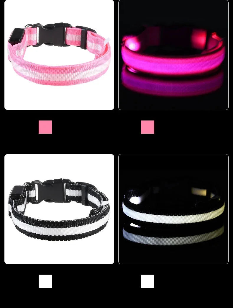 GlowSafe LED Dog Collar