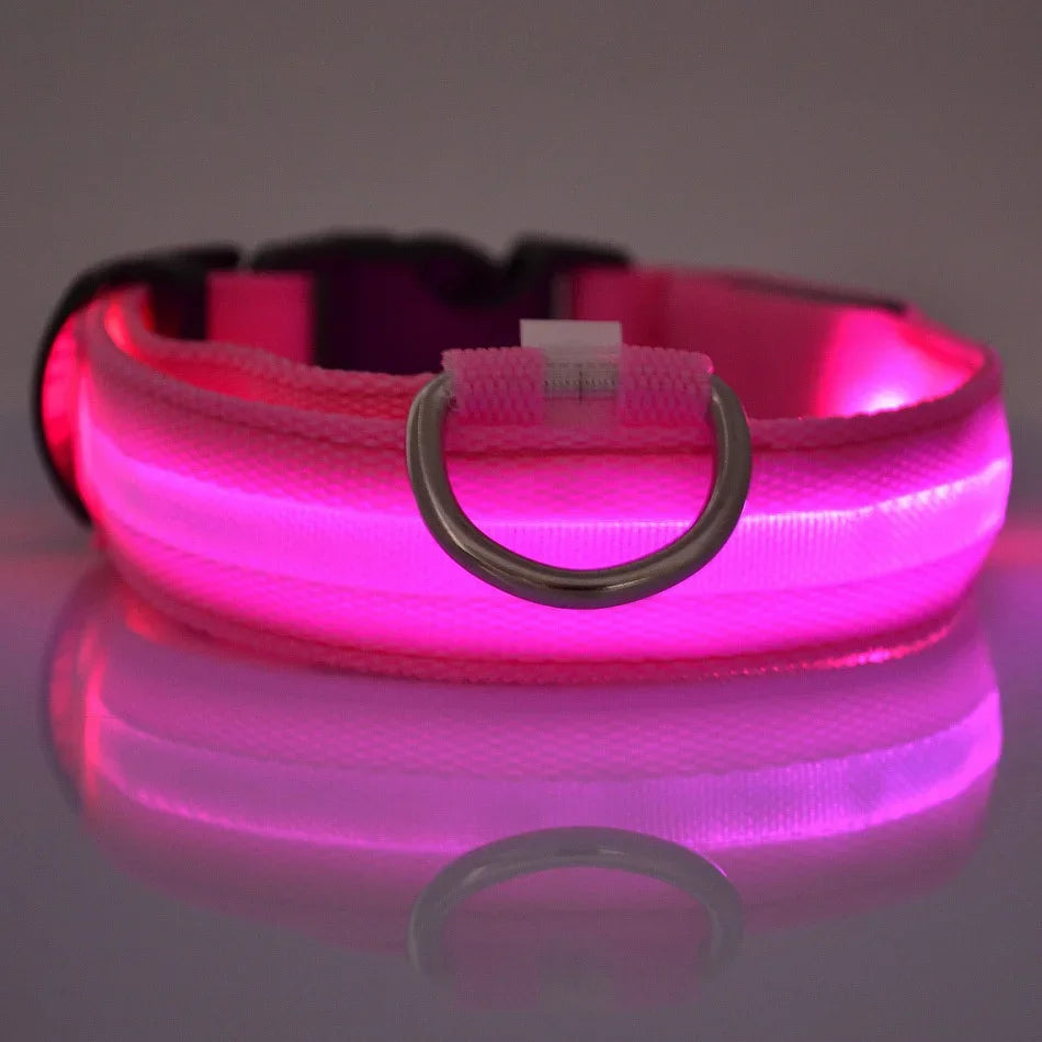 GlowSafe LED Dog Collar