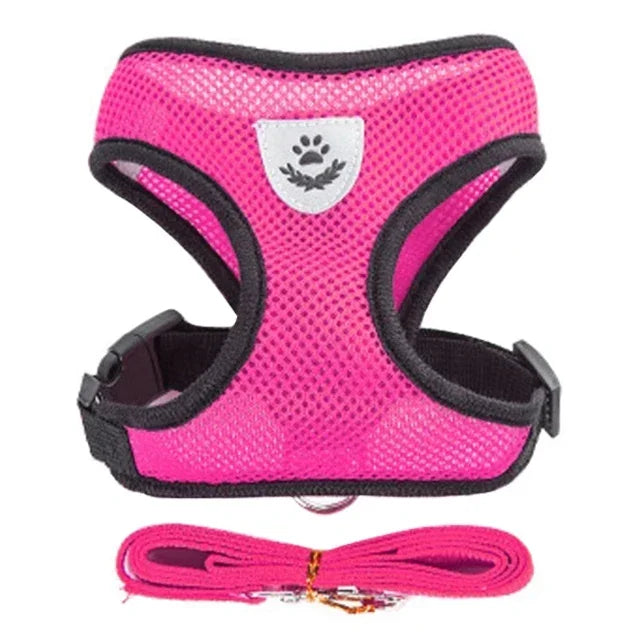 Stylish Mesh Pet Harness