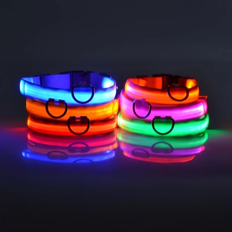 GlowSafe LED Dog Collar