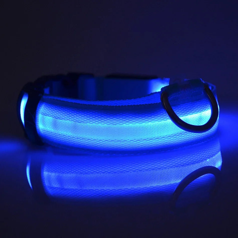 GlowSafe LED Dog Collar