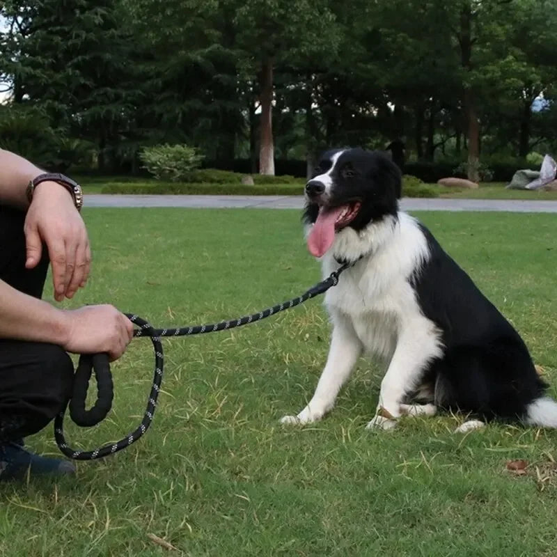 Reflective No-Pull Dog Leash