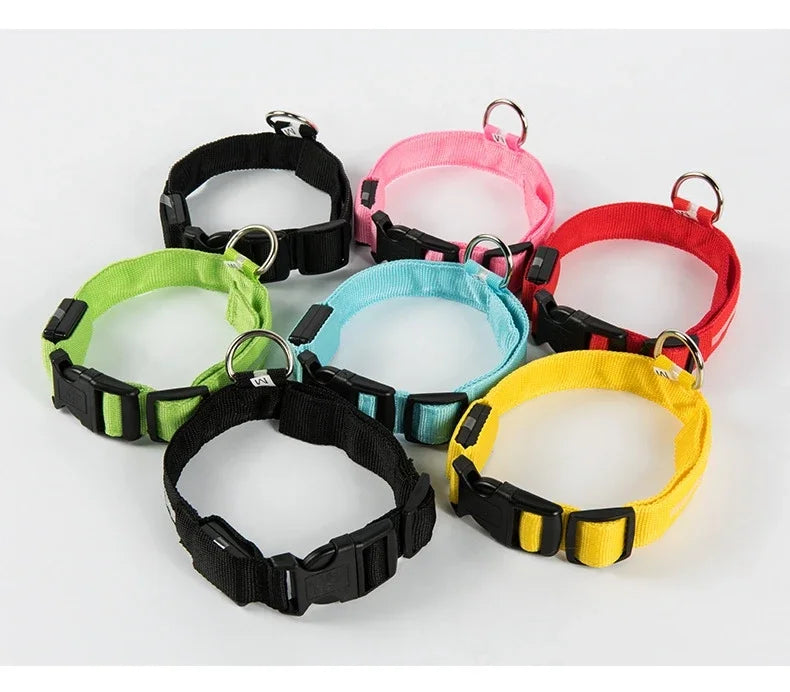 GlowSafe LED Dog Collar