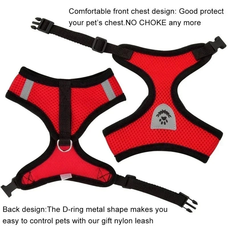 Stylish Mesh Pet Harness
