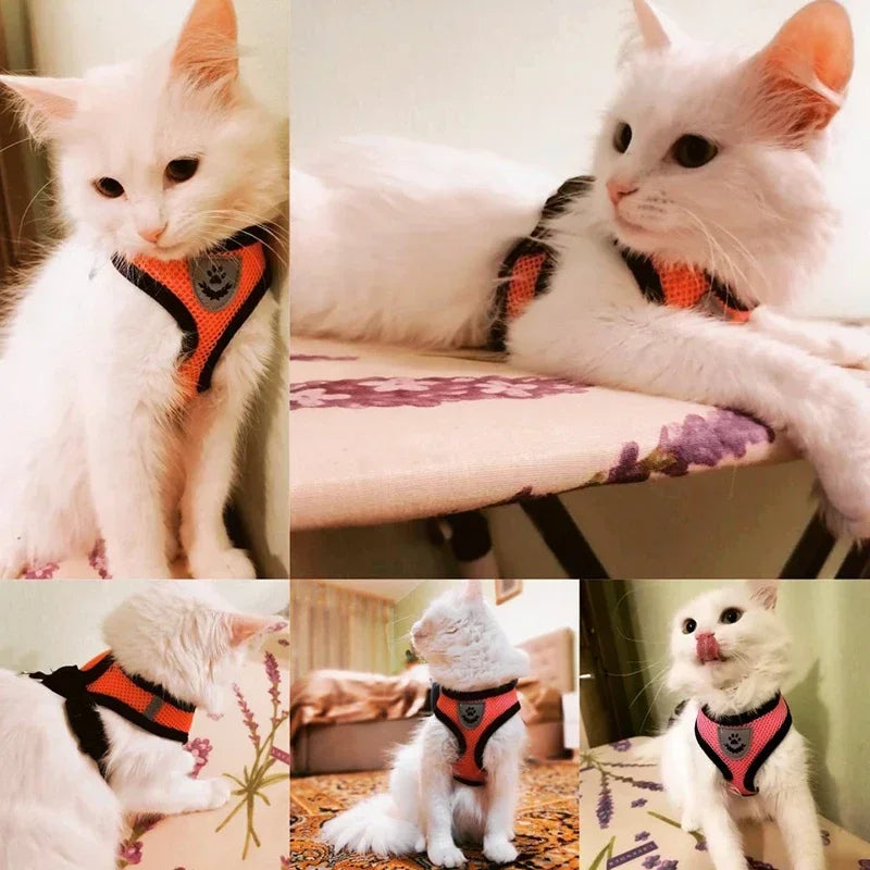 Stylish Mesh Pet Harness