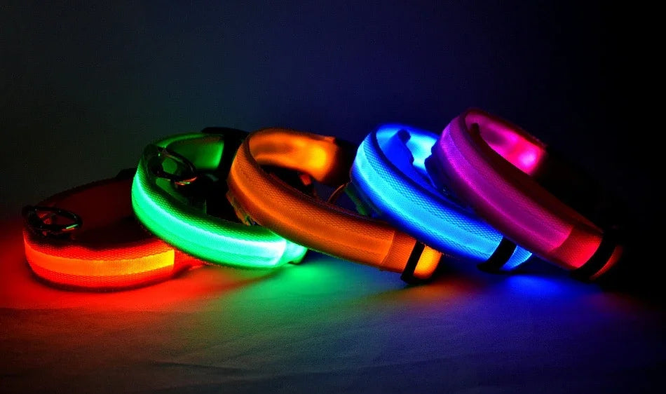 GlowSafe LED Dog Collar