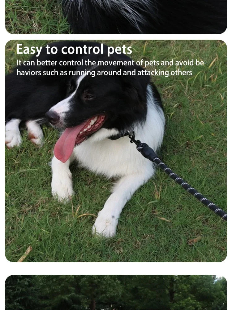 Reflective No-Pull Dog Leash
