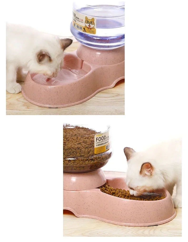 Smart Dog & Cat Feeder