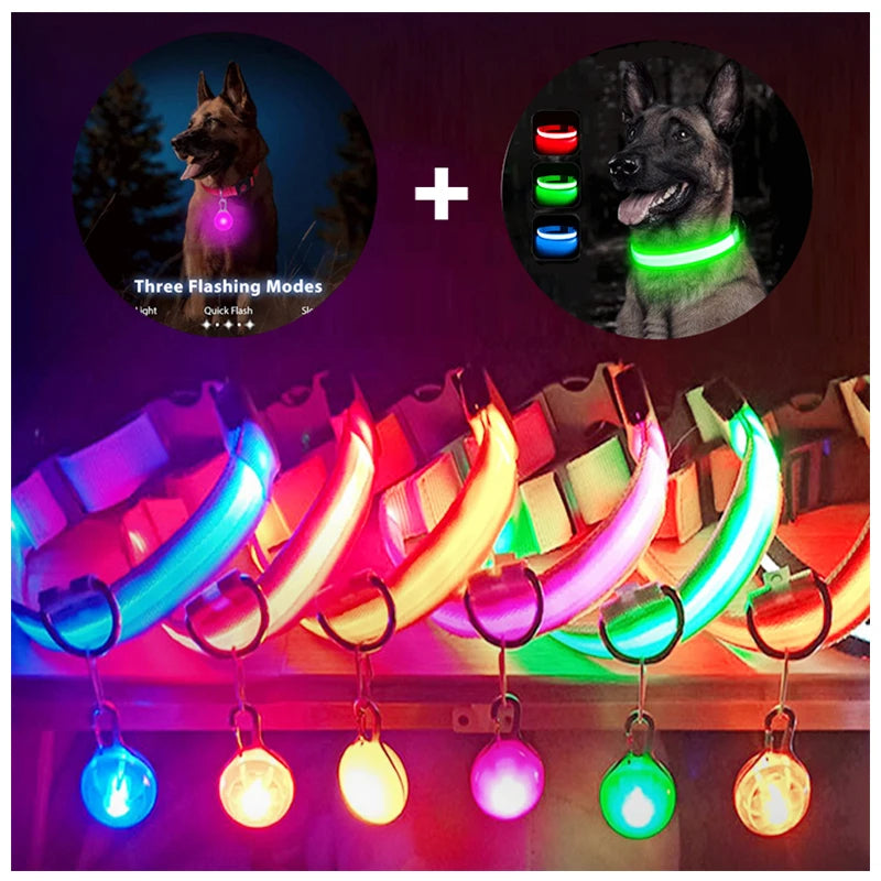 Glowing USB Pet Collar