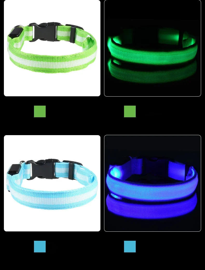 GlowSafe LED Dog Collar