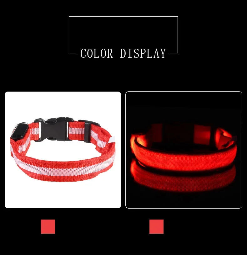GlowSafe LED Dog Collar