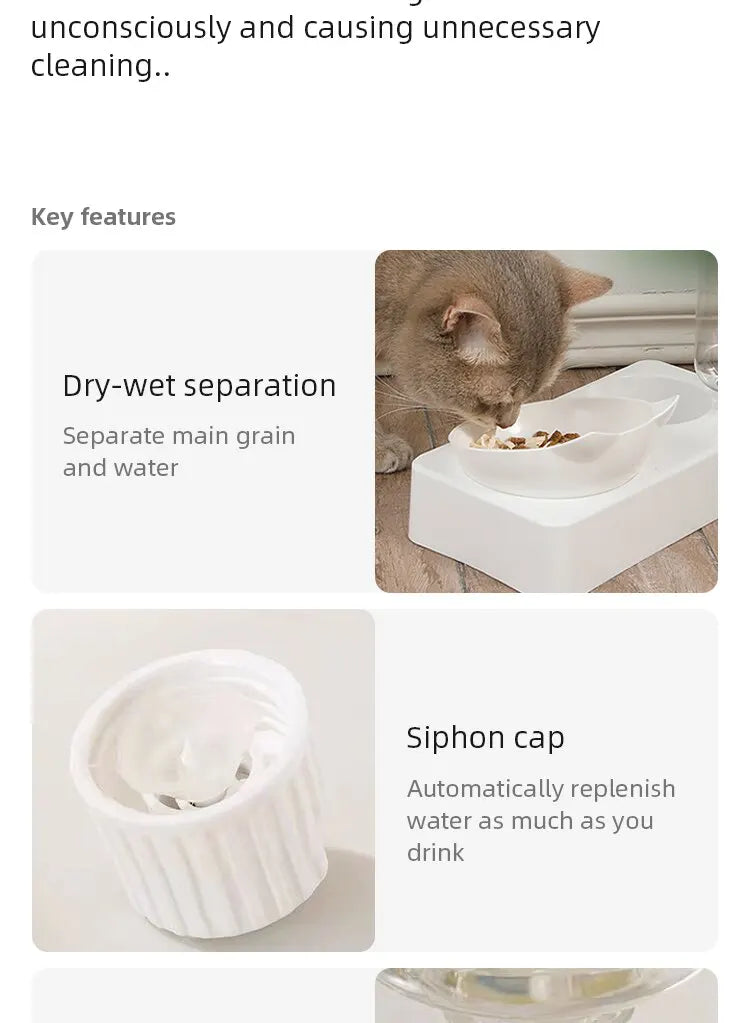 ErgoLift Dual Pet Feeder