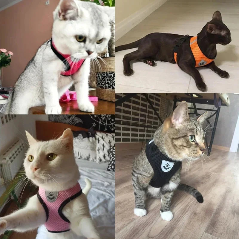 Stylish Mesh Pet Harness