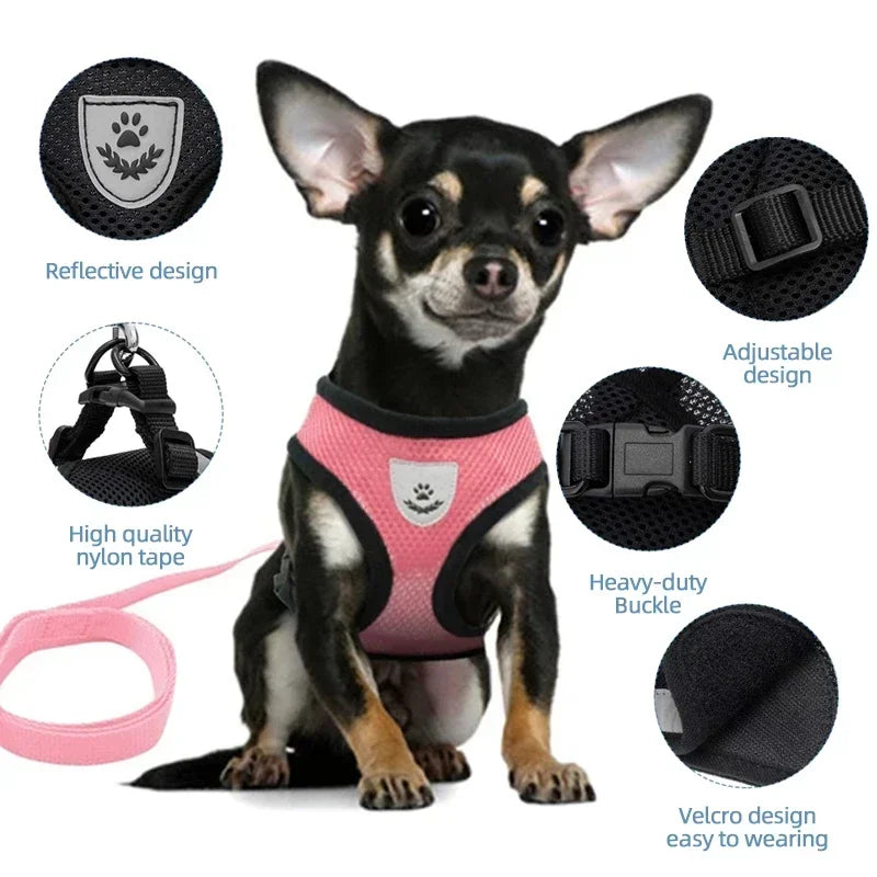 Stylish Mesh Pet Harness