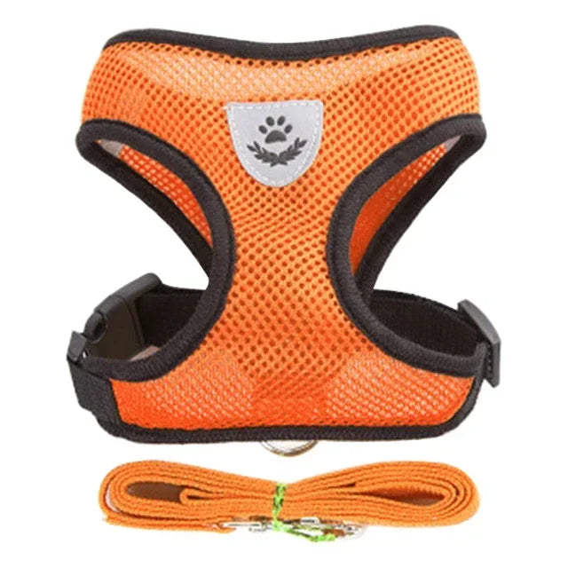 Stylish Mesh Pet Harness