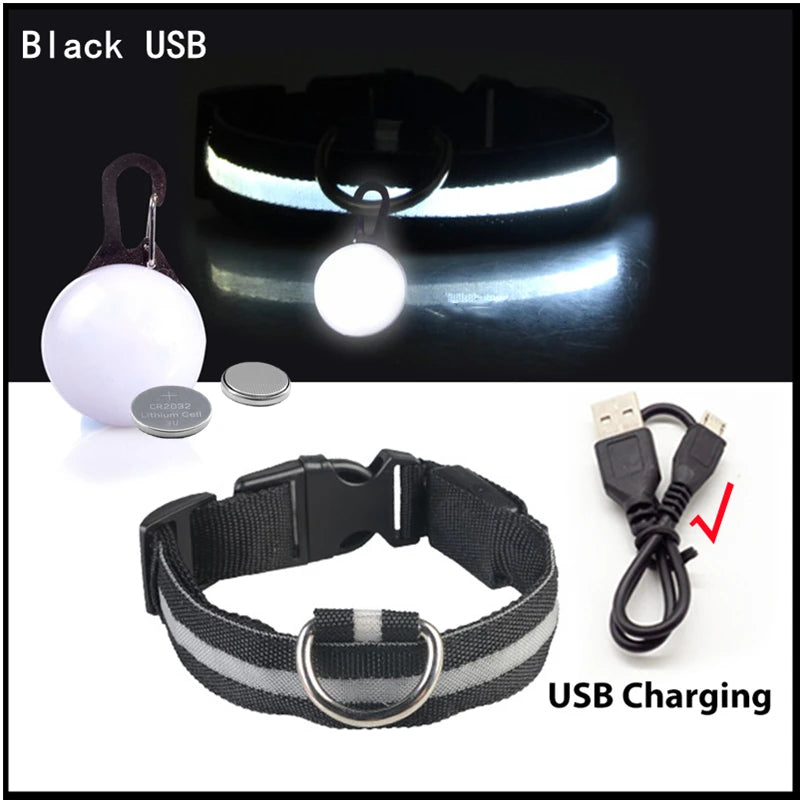 Glowing USB Pet Collar