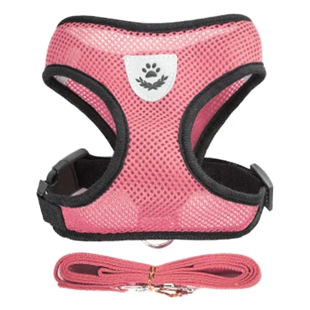 Stylish Mesh Pet Harness