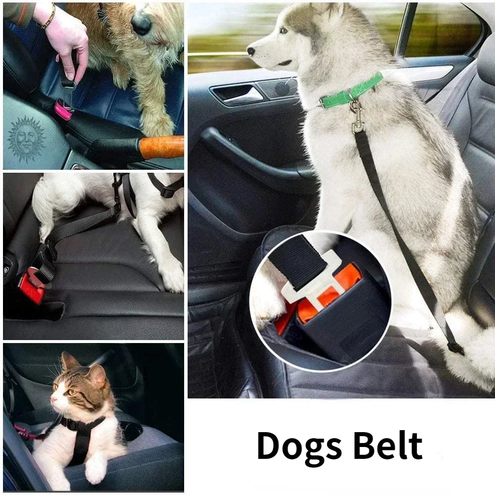 Pet Travel Safety Harness