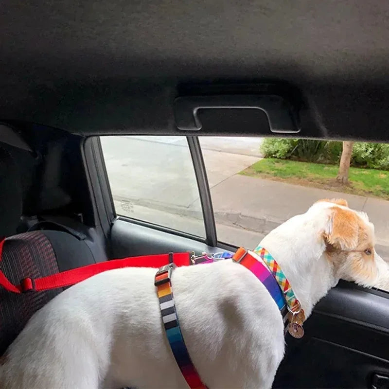 Pet Car Safety Harness