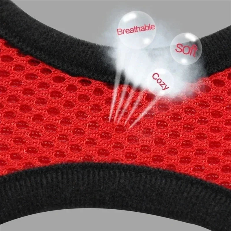 Stylish Mesh Pet Harness