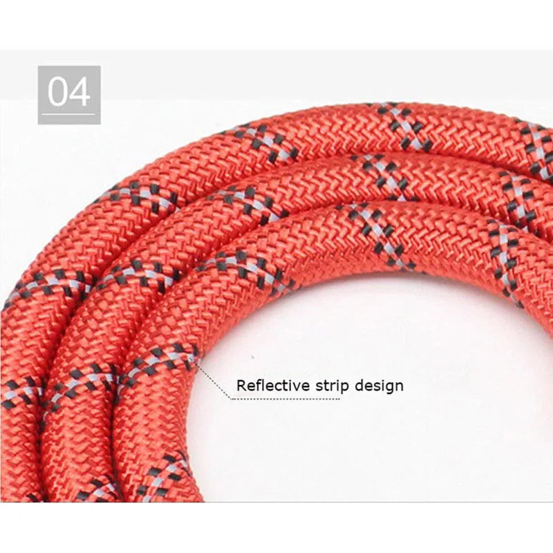 Heavy Duty Reflective Leash