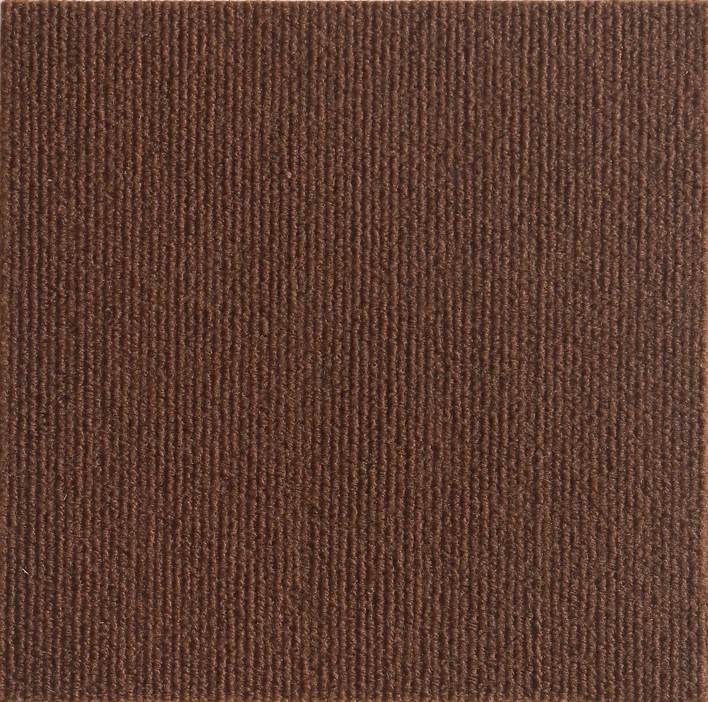 Cat Scratch Guard Mat