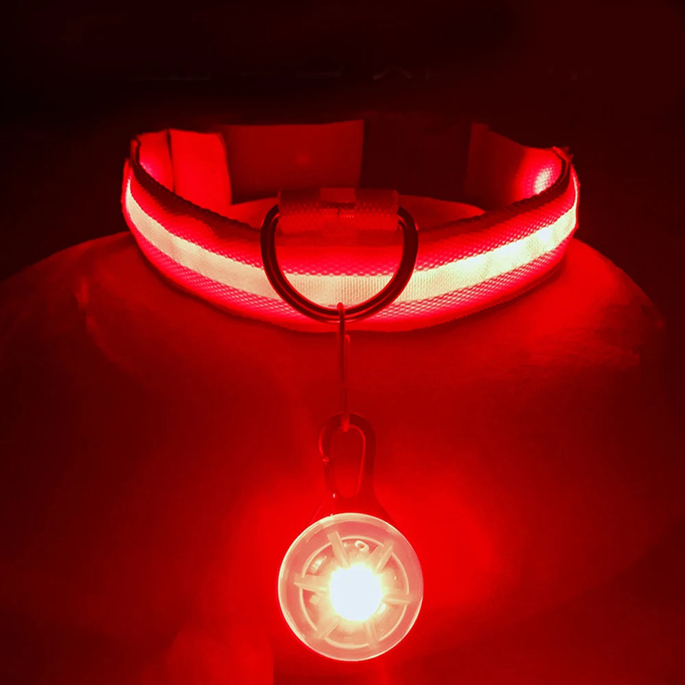 Glowing USB Pet Collar