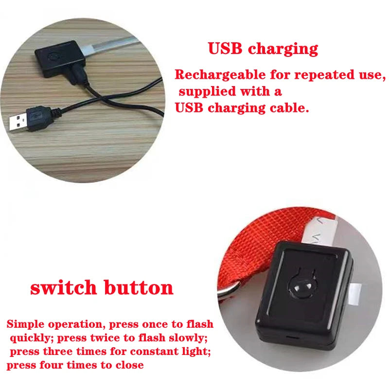 Glowing USB Pet Collar