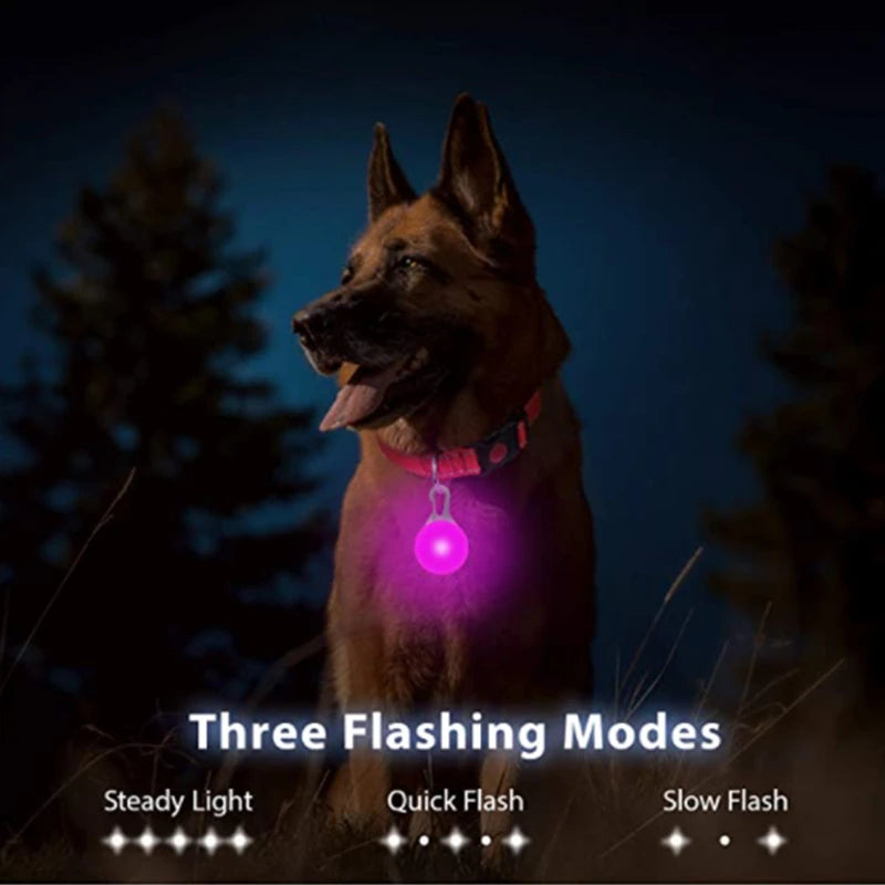 Glowing USB Pet Collar