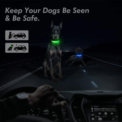 Glowing USB Pet Collar