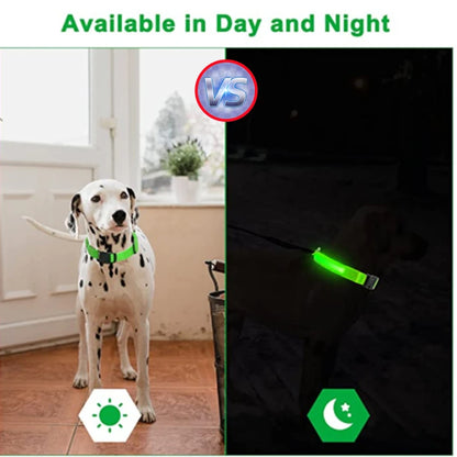 Glowing USB Pet Collar