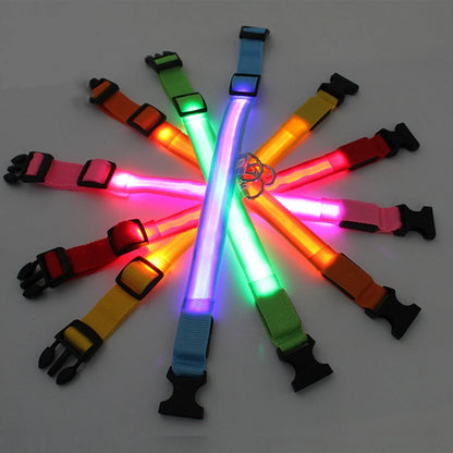 Glowing USB Pet Collar