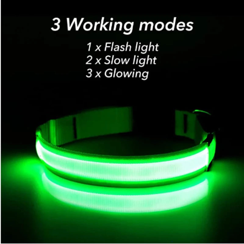 Glowing USB Pet Collar