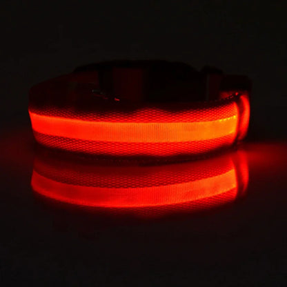 GlowSafe LED Dog Collar