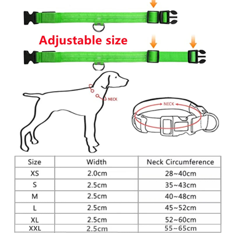 Glowing USB Pet Collar