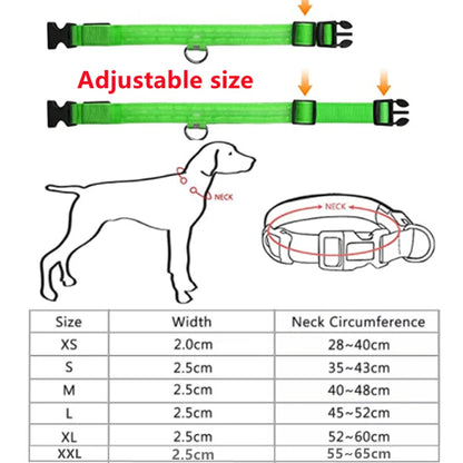 Glowing USB Pet Collar