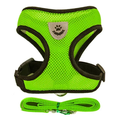 Stylish Mesh Pet Harness