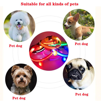 Glowing USB Pet Collar