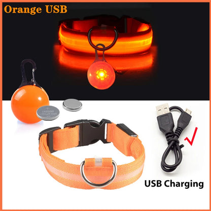 Glowing USB Pet Collar