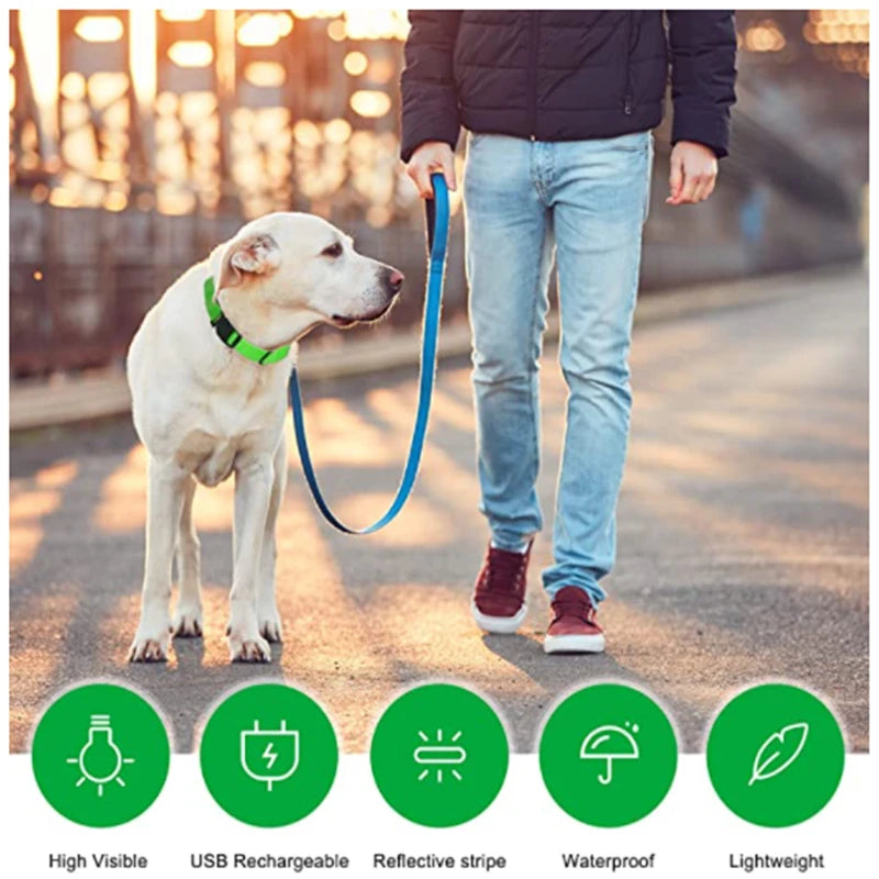 Glowing USB Pet Collar