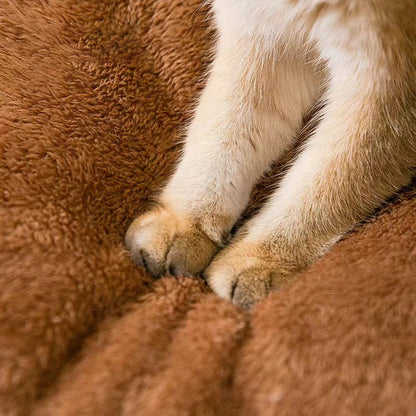 Teddy Bear Pet Haven