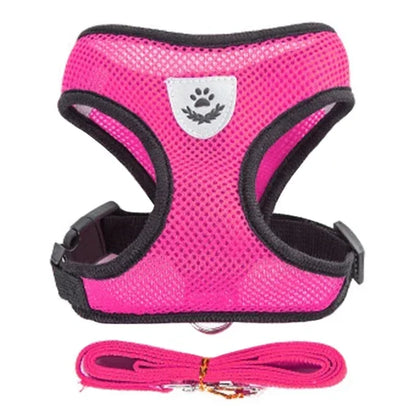 Stylish Mesh Pet Harness