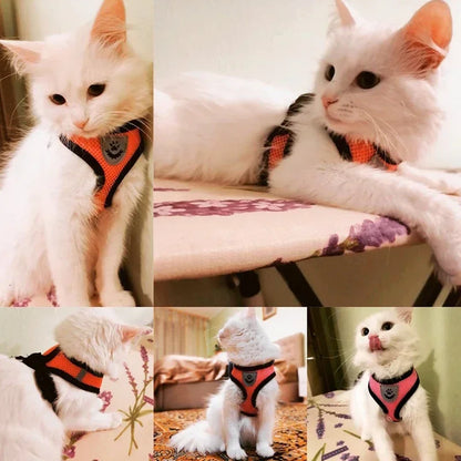 Stylish Mesh Pet Harness