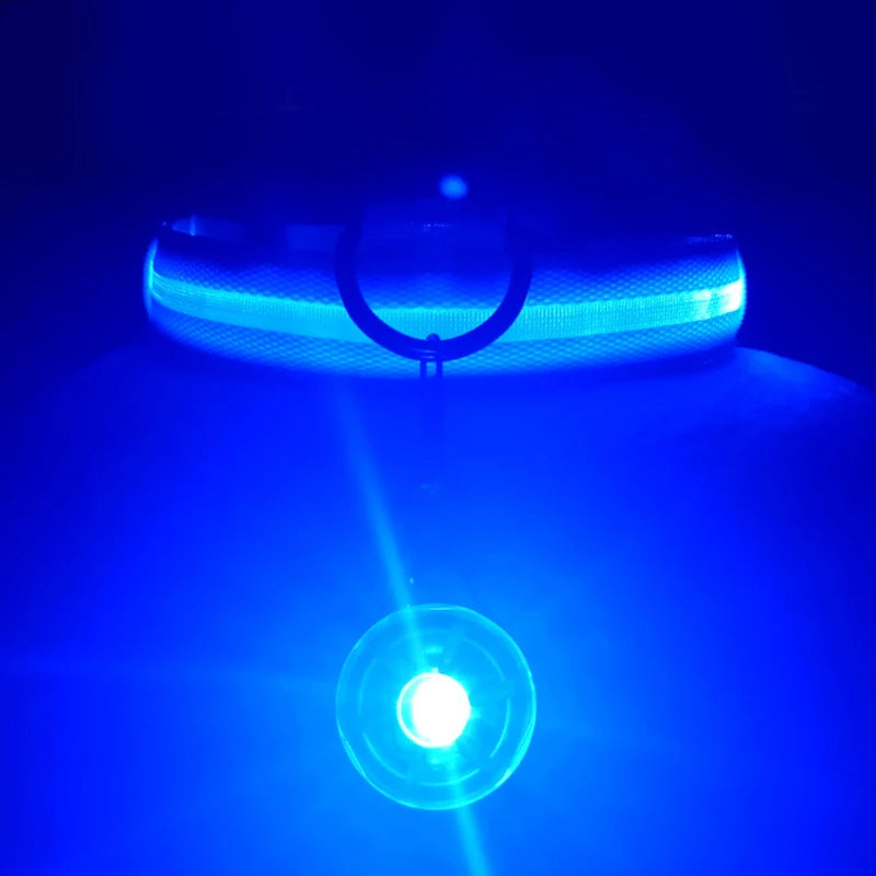 Glowing USB Pet Collar